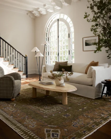 Hand knotted tribal rug for living room with traditional border design