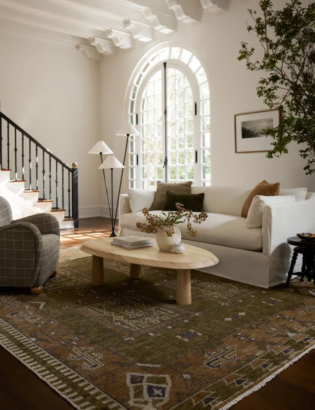 Hand knotted tribal rug for living room with traditional border design