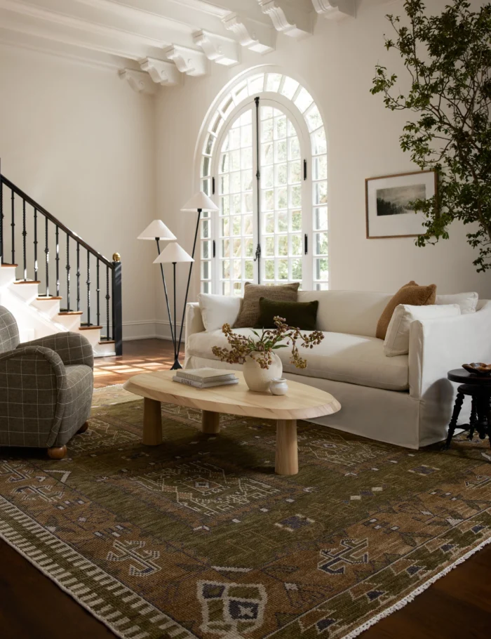 Hand knotted tribal rug for living room with traditional border design